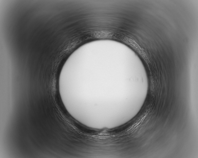 X0000095930441200802081220