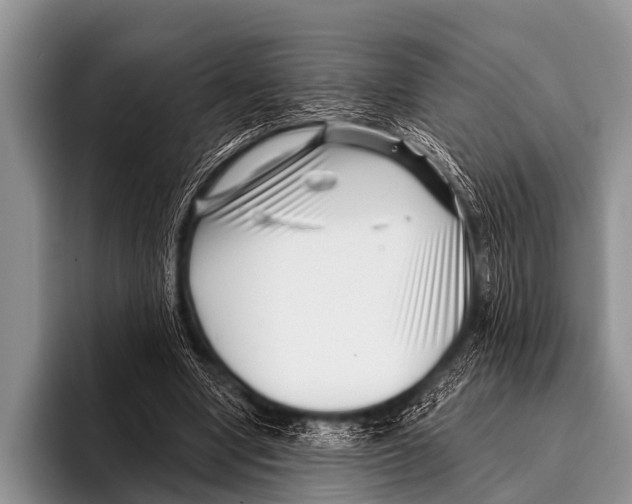 X0000095930442200802081220