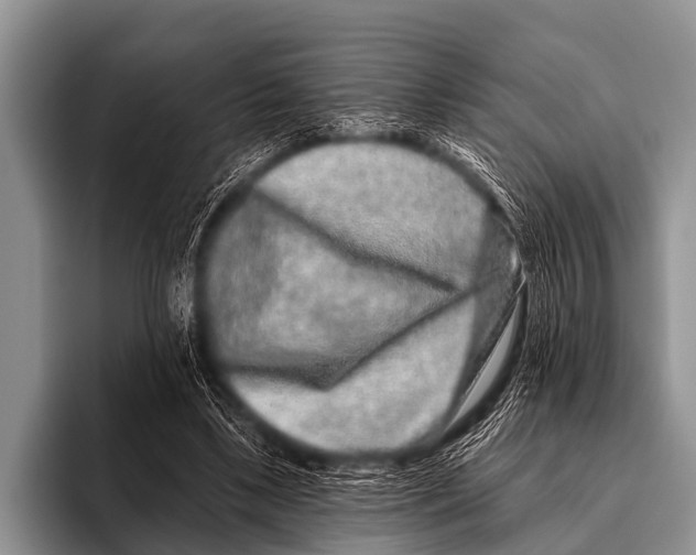 X0000095930443200802081220
