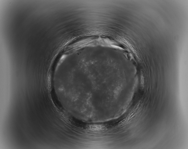 X0000095930444200802081220