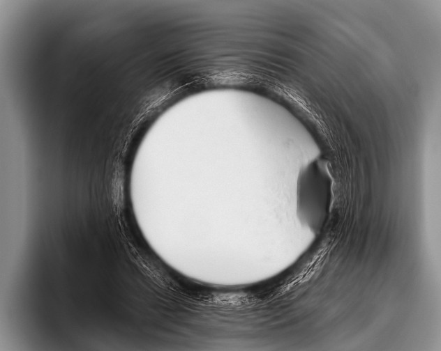 X0000095930446200802081220