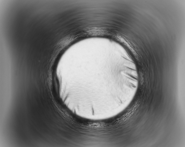 X0000095930447200802081220