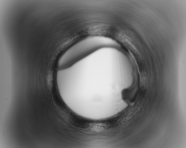 X0000095930448200802081220