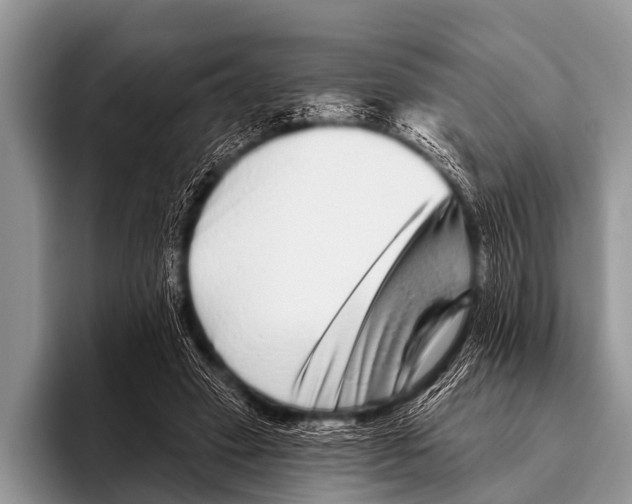 X0000095930449200802081220