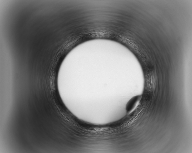 X0000095930450200802081220