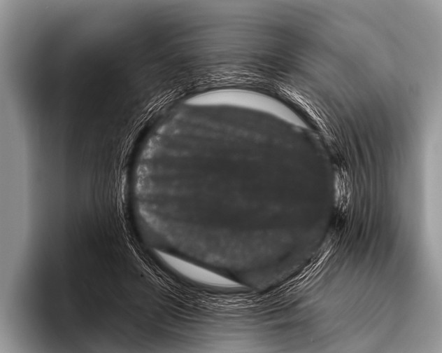 X0000095930451200802081220