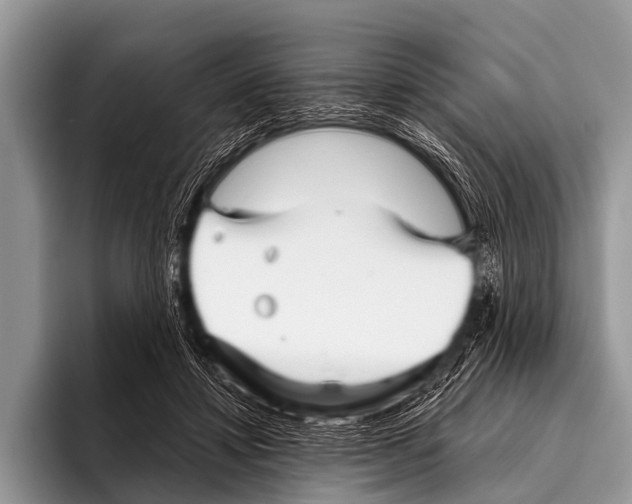 X0000095930452200802081220