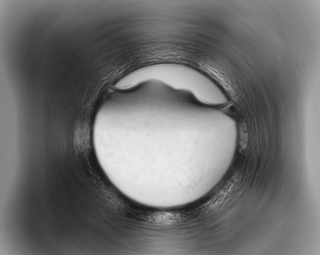 X0000095930453200802081220