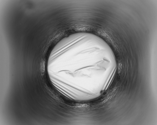 X0000095930454200802081220