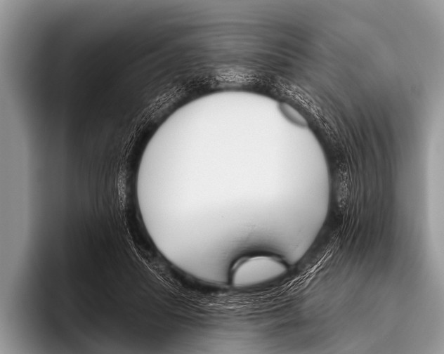 X0000095930455200802081220