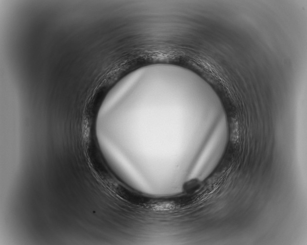 X0000095930456200802081220