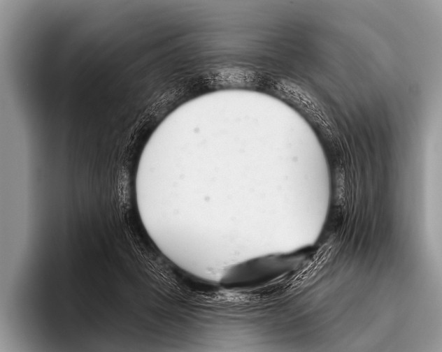 X0000095930457200802081220