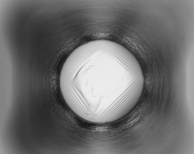 X0000095930462200802081220