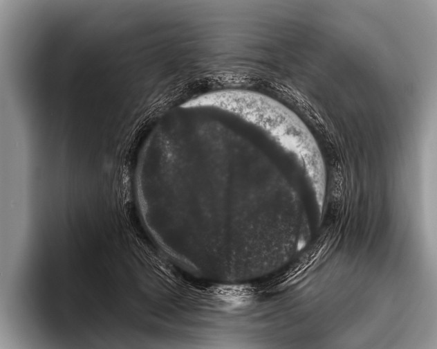 X0000095930465200802081220