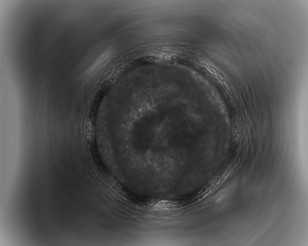 X0000095930467200802081220