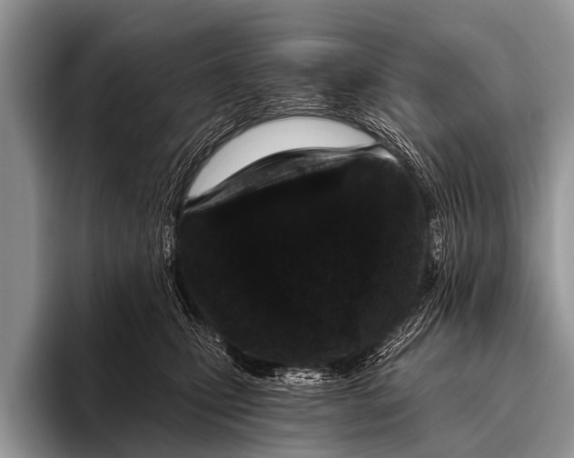 X0000095930471200802081220