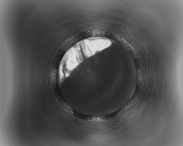 X0000095930475200802081220