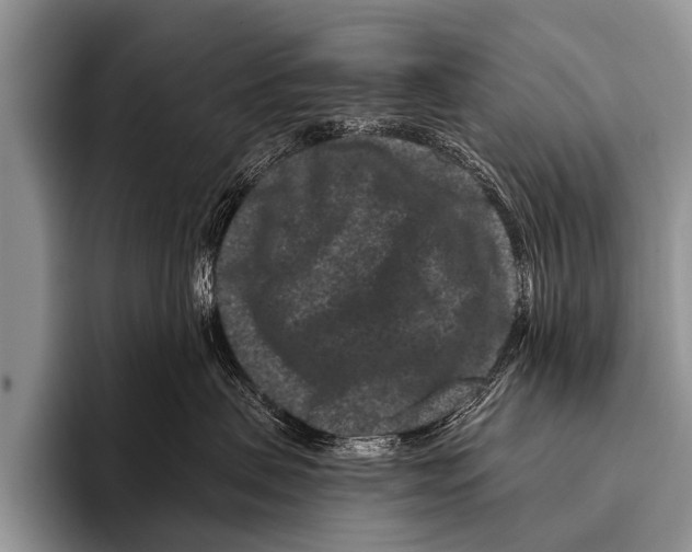 X0000095930479200802081220