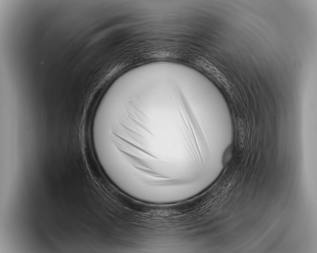 X0000095930482200802081220