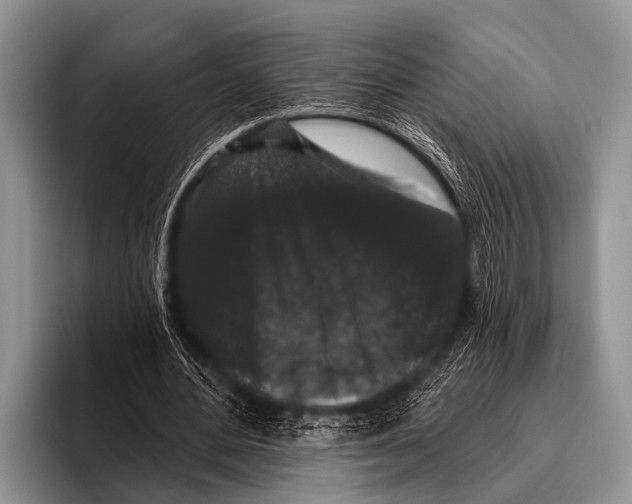 X0000095930484200802081220