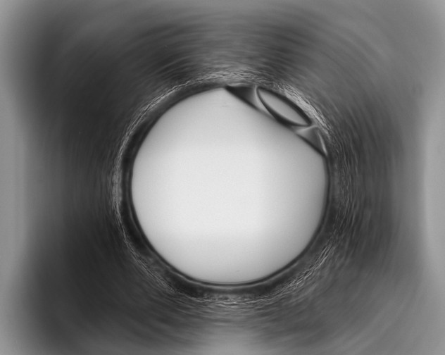X0000095930486200802081220