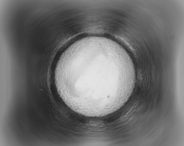 X0000095930487200802081220