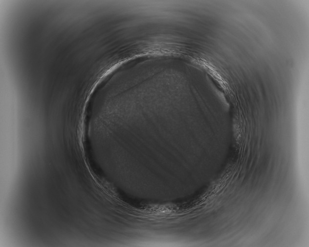 X0000095930488200802081220