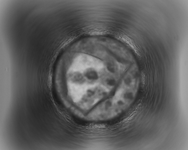 X0000095930491200802081220