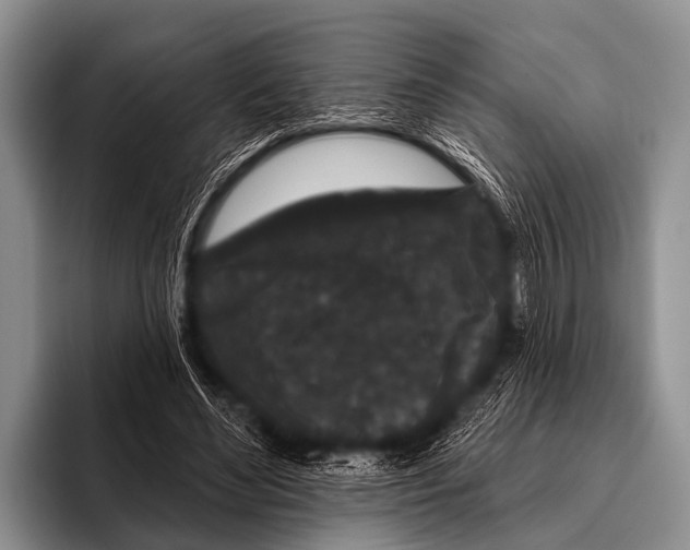 X0000095930492200802081220