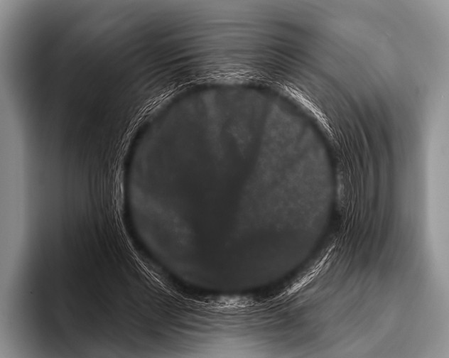 X0000095930493200802081220