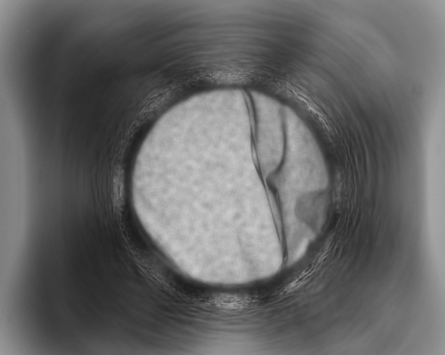 X0000095930494200802081219