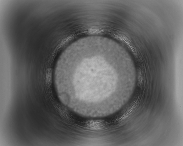 X0000095930495200802081219
