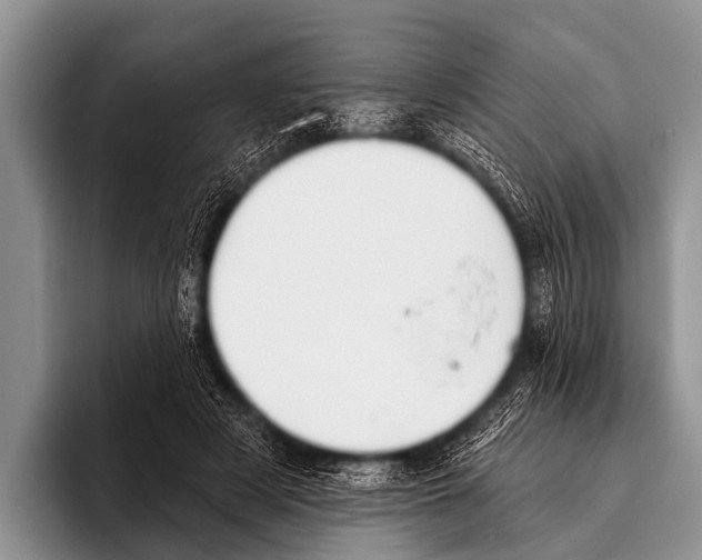 X0000095930497200802081219