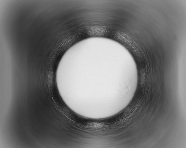 X0000095930498200802081219