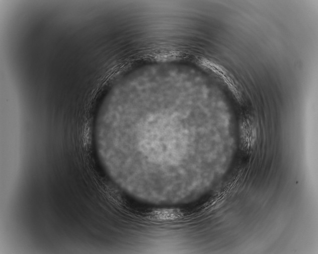 X0000095930499200802081219