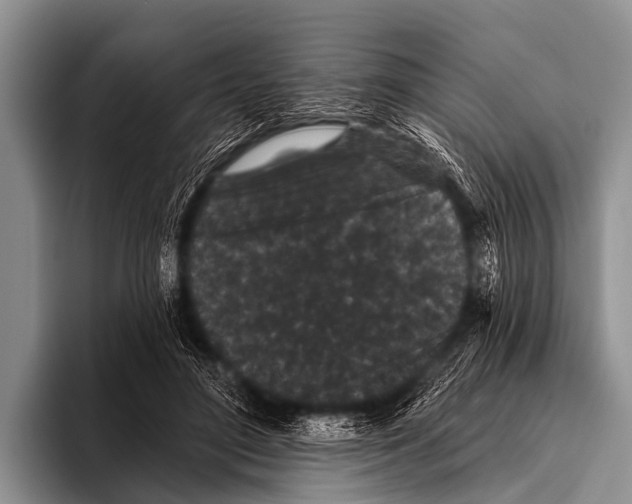 X0000095930500200802081219