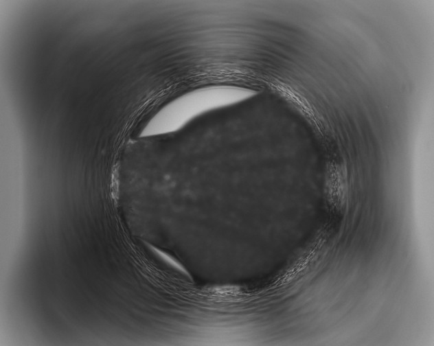 X0000095930501200802081219