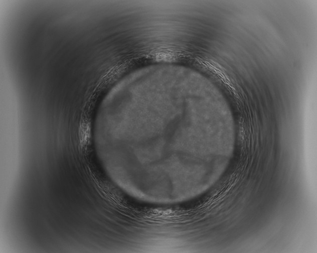 X0000095930502200802081219