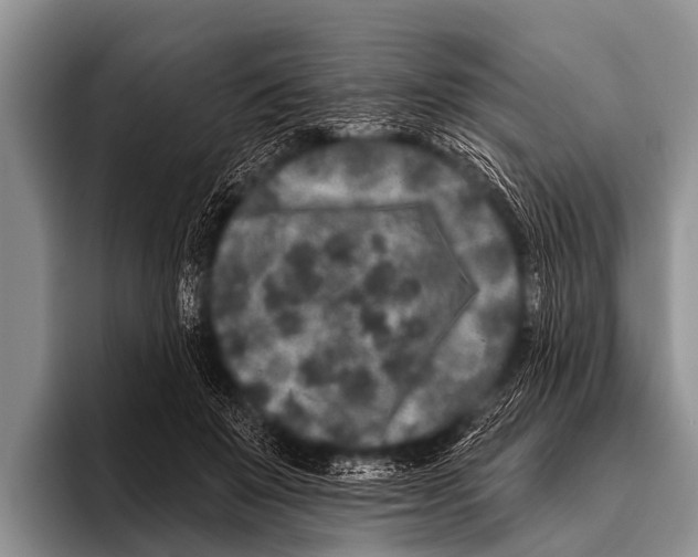 X0000095930503200802081219