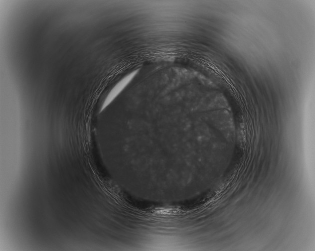 X0000095930504200802081219