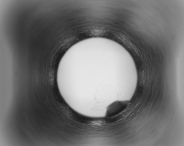 X0000095930505200802081219