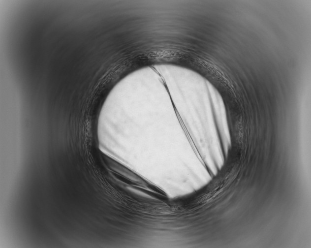 X0000095930506200802081219