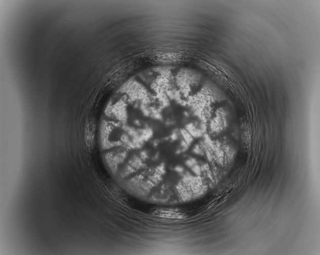 X0000095930507200802081219