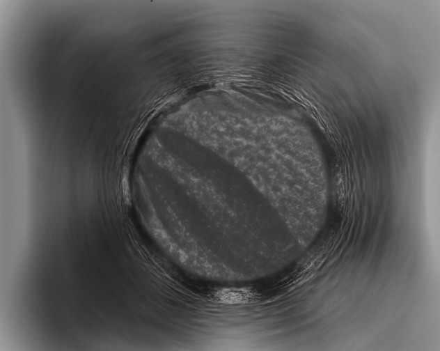X0000095930508200802081219