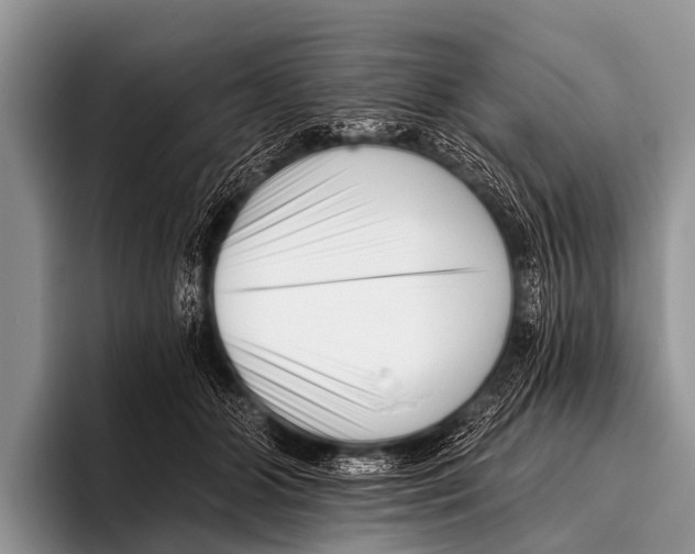 X0000095930510200802081219