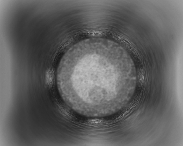X0000095930511200802081219