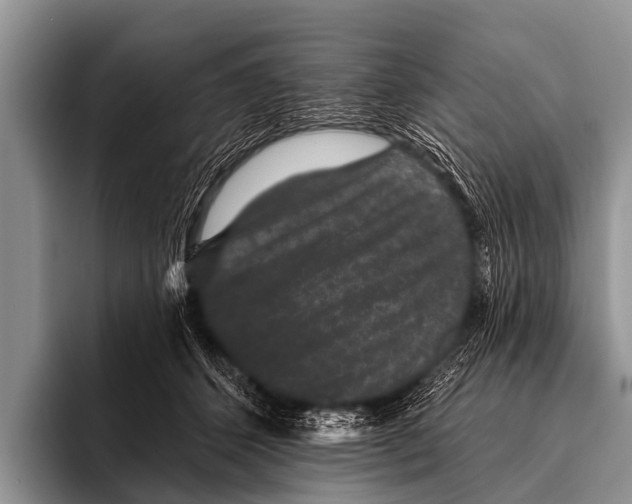 X0000095930512200802081219