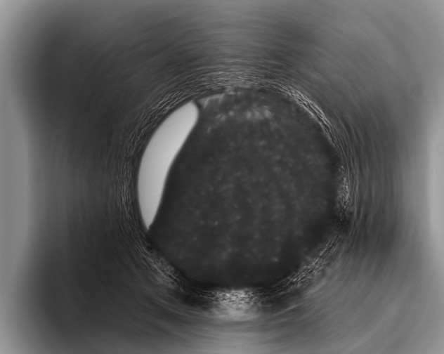 X0000095930513200802081219