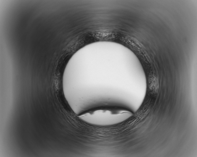 X0000095930515200802081219