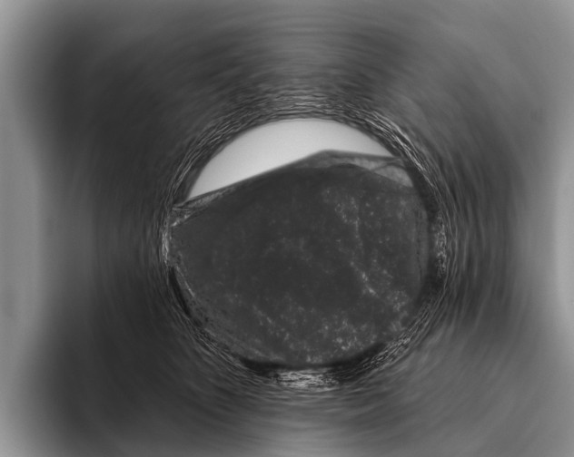 X0000095930516200802081219